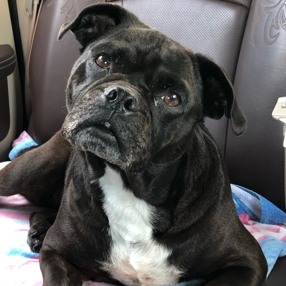 Meet your Posher, Lisa - Picture 4 of 4